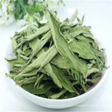 feuilles de stevia extrait de poudre